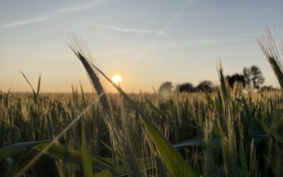 Selbstliebe braucht Akzeptanz