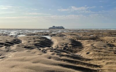 Geduld braucht Frustrationstoleranz