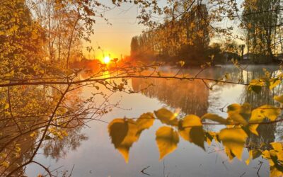 Reife kennt Abschied