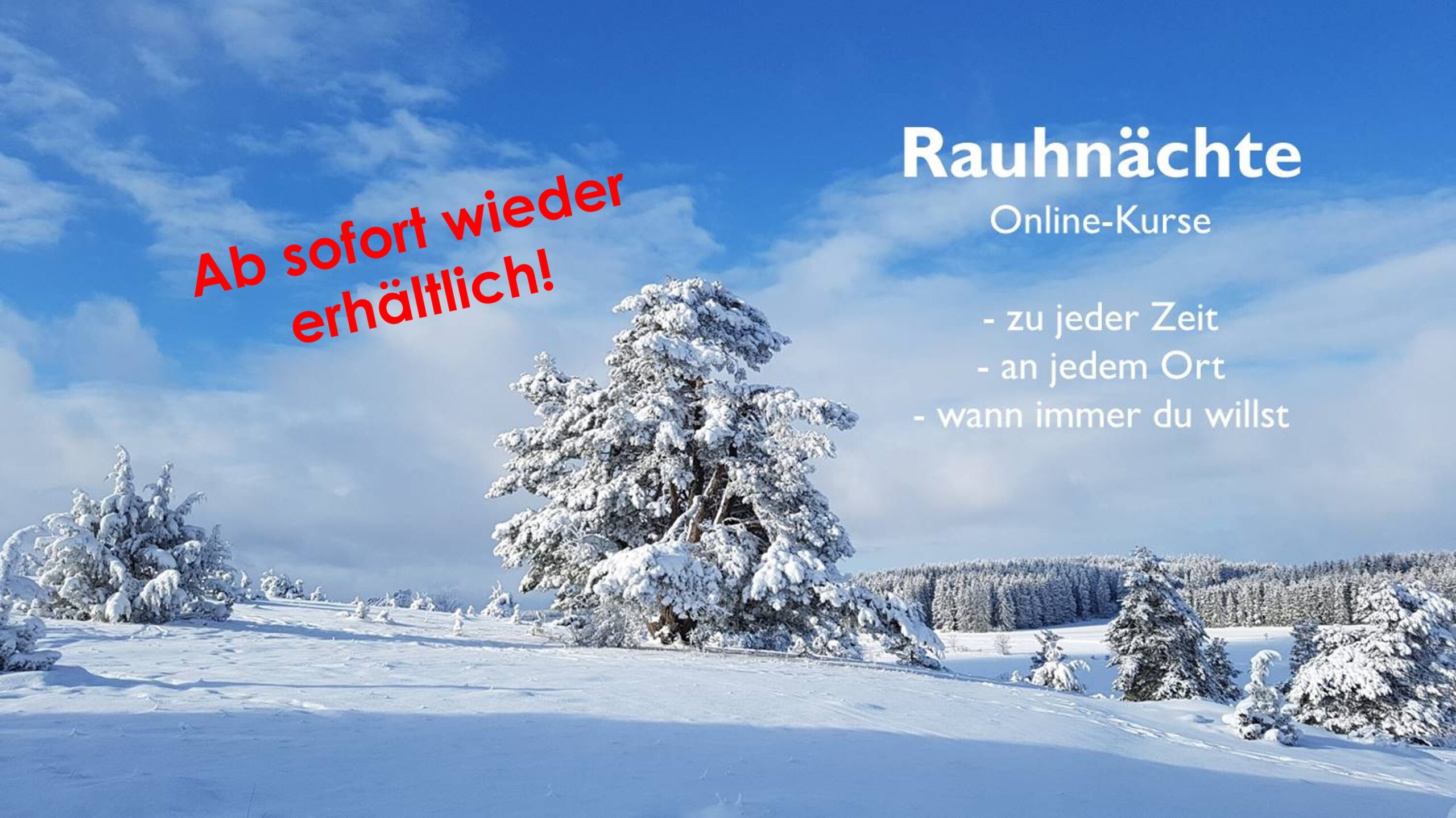 Rauhnächte Onlinekurse Spiegelbestseller Tanja Köhler 